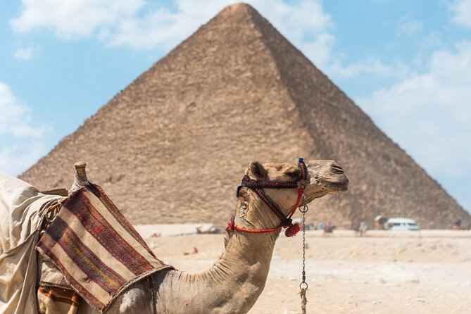 Day Tour To Giza Pyramids With Camel Ride And Egyptian Museum In Cairo - Booking details and cancellation timing