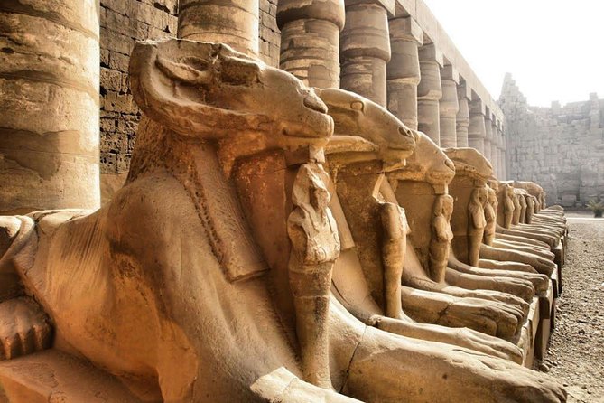 Day Trip To Luxor From Cairo By Plane - Hatshepsut’s Temple and the West Bank