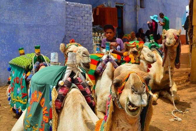 Day Trip to Nubian Village with Camel Tour from Aswan - The 10:00 am pickup in Aswan