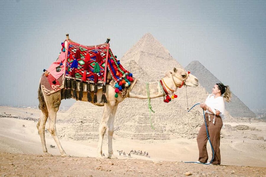 Discover Cairo: Pyramids, Museum & Sphinx Tour from Hurghada - The Egyptian Museum and 5,000 years of objects