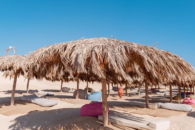 Discover Paradise Island Adventure - The morning pickup and journey to the marina