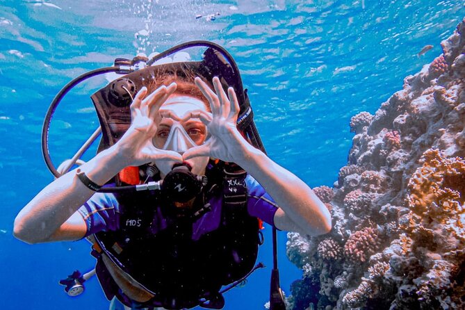 Discover Scuba Diving Sharm El Sheikh - Equipment is included, but ask about cleaning