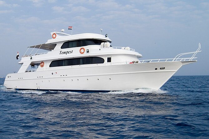 Diving And Snorkeling To Ras Mohamed And White Island By VIP Boat - White Island Is a Sandbar, Not a Resort Beach