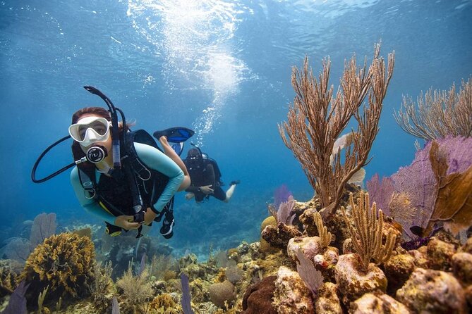 Diving And Snorkeling To Ras Mohamed And White Island By VIP Boat - Lunch on the Boat