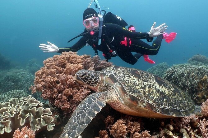 Diving And Snorkeling To Ras Mohamed And White Island By VIP Boat - The Return Water Stop and Sail Back