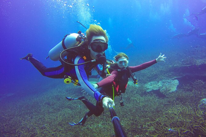 Diving Full Day 2 Stops Boat Trip For Beginners With Lunch and Transfer–Hurghada - How good is the $16 value?