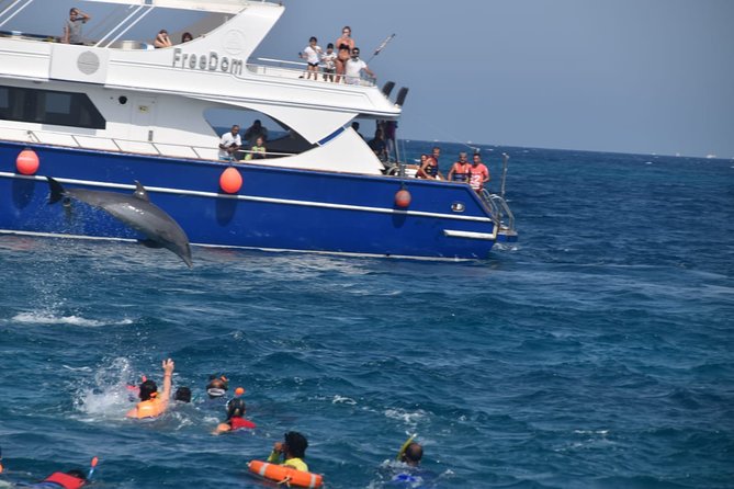Dolphin House and Banana Boat Fun from Hurghada - A Red Sea day built around wild dolphins
