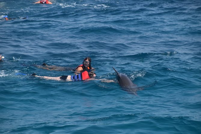 Dolphin House and Banana Boat Fun from Hurghada - Searching Dolphin House in open water