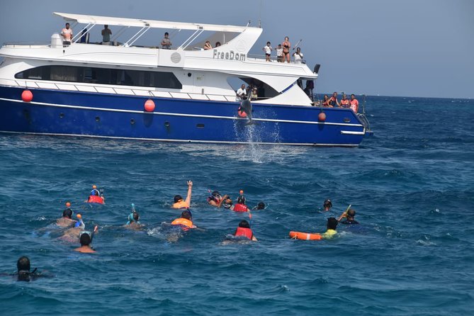 Dolphin House and Banana Boat Fun from Hurghada - Pickup from Hurghada, El Gouna, or Makadi