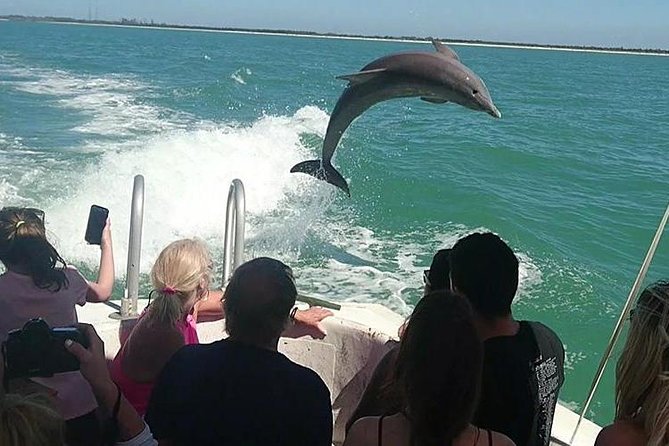 Dolphin House By Private Speed Boat & Drinks & Transfer-Hurghada - The private speedboat makes the outing more personal
