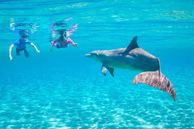 Dolphin House By Private Speed Boat & Drinks & Transfer-Hurghada - Drinks, deck time, and possible extras