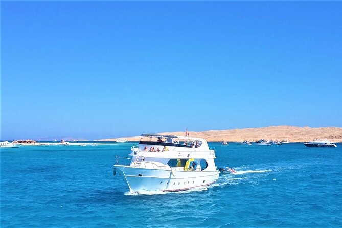 Dolphin House By Private Speed Boat & Drinks & Transfer-Hurghada - Who will enjoy this Red Sea trip most?