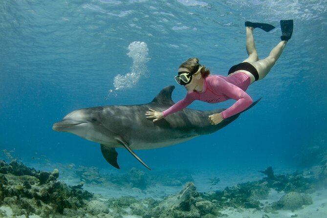 Dolphin House By Private Speed Boat & Drinks & Transfer-Hurghada - Looking for dolphins at Dolphin House