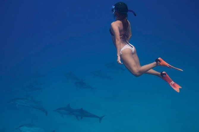 Dolphin House Royal VIP Special Day Snorkeling Sea Trip With Lunch - Hurghada - Cruising Toward Dolphin House
