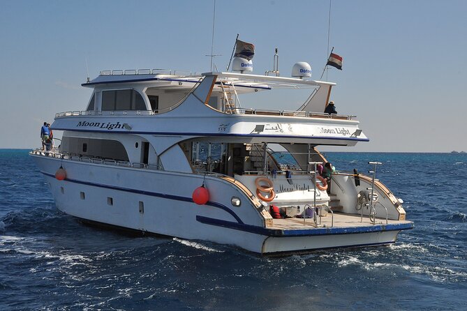 Dolphin House Snorkel & Water Fun Activity with Lunch - Hurghada - Second reef stop and the value of a second chance