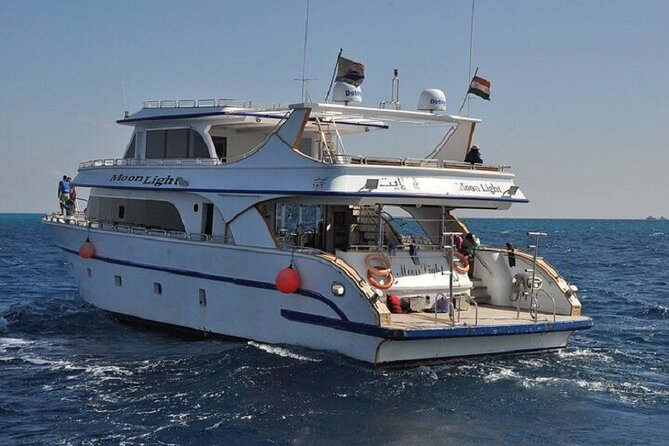 Dolphin House Snorkeling Sea Trip, Water Sport , Lunch - Hurghada - Searching for dolphins at Dolphin House