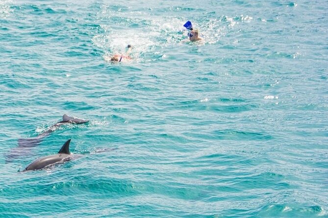 Dolphin House Snorkeling Trip + Water Sport With Lunch - Hurghada - The second reef stop adds useful variety