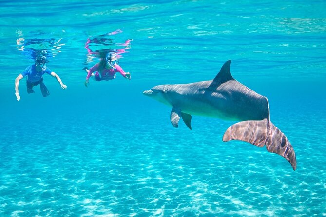 Dolphin House Snorkeling Trip + Water Sport With Lunch - Hurghada - A booking warning worth taking seriously
