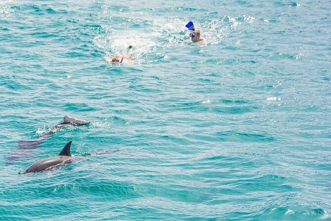 Dolphin House Snorkeling,Water Sports, Lunch & Transfer- Hurghada - Two coral reef sessions, with one practical limitation