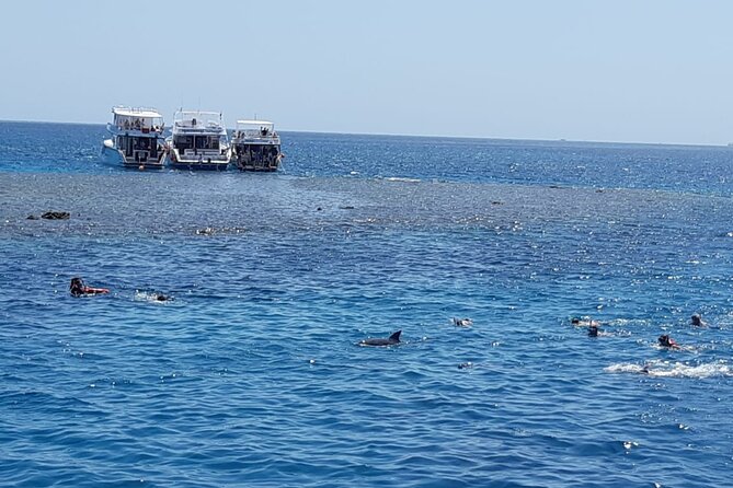 Dolphin Tour Banana Boat from Soma /Sahl Hasheesh/makadi/Safaga - Lunch, coffee, tea, and soft drinks aboard