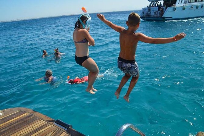 Dolphin Tour in Hurghada - Buffet lunch, fruit, and drinks during the middle of the day