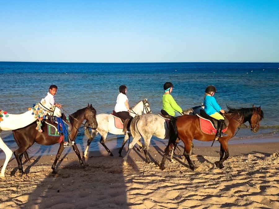 El Gouna: Desert & Sea Horse Riding With Swimming Optional - Riding the desert trails at a relaxed pace