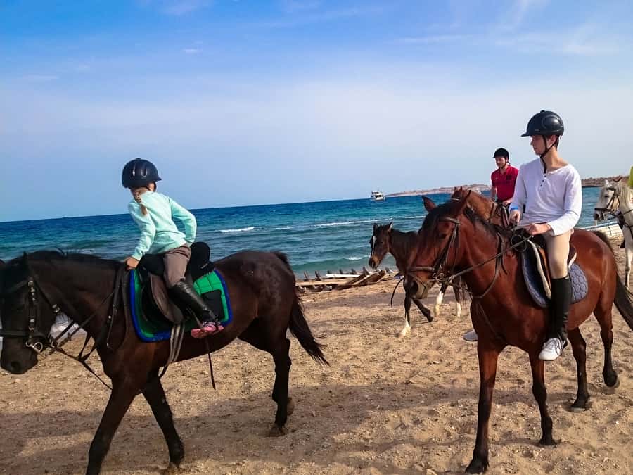El Gouna: Desert & Sea Horse Riding With Swimming Optional - Sunrise, afternoon, or sunset?