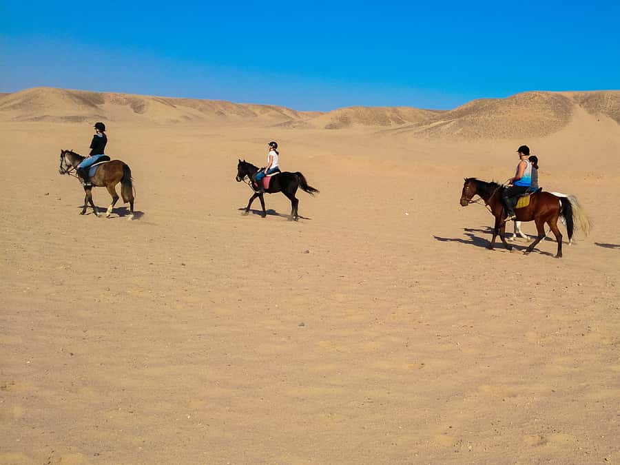 El Gouna: Desert & Sea Horse Riding With Swimming Optional - The four-hour VIP swim option