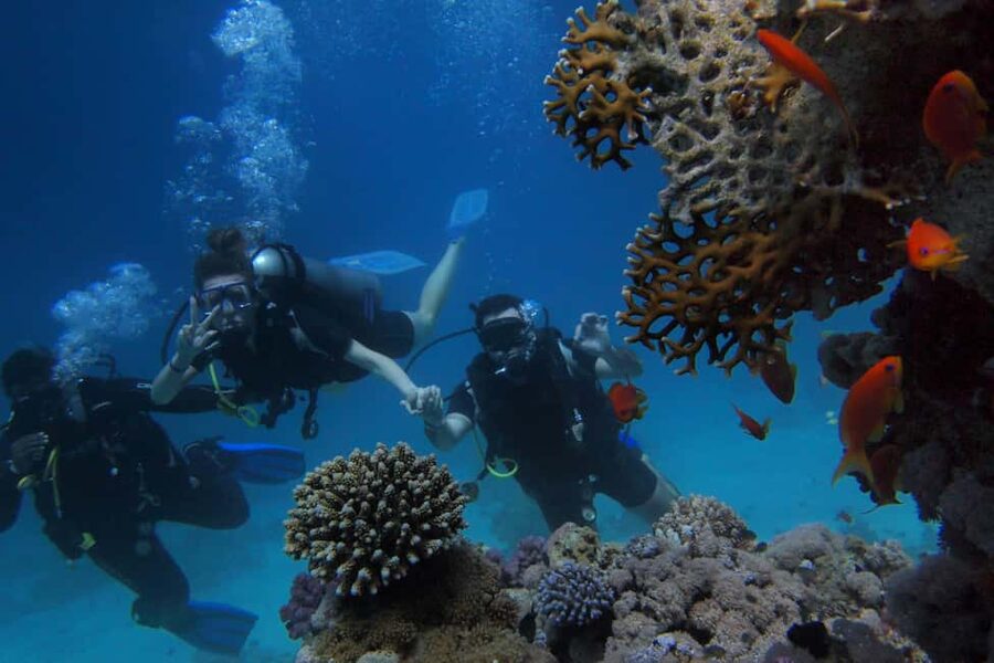 El Gouna Lagoon, Diving with Dolphin, Snorkeling & Lunch - The crew and the onboard atmosphere