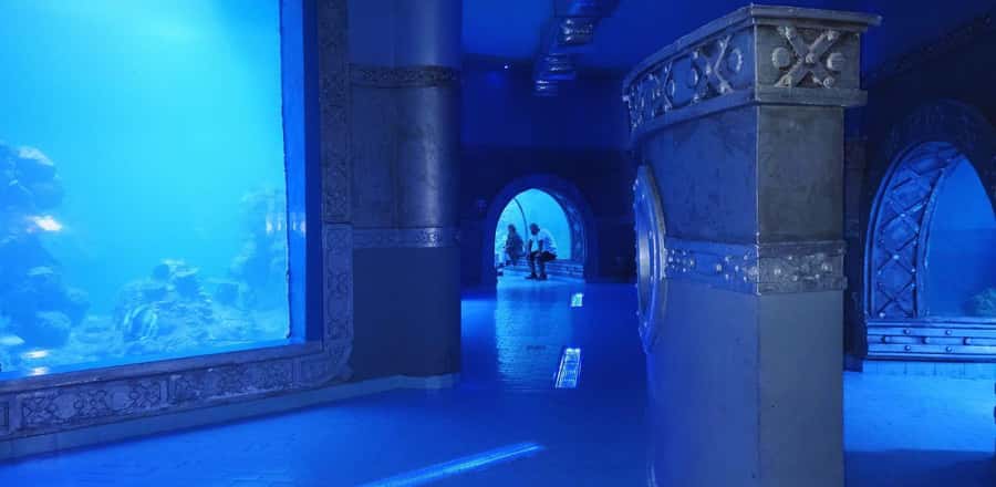 Entry Ticket: Grand Aquarium Hurgada - Key Things to Know Before You Go