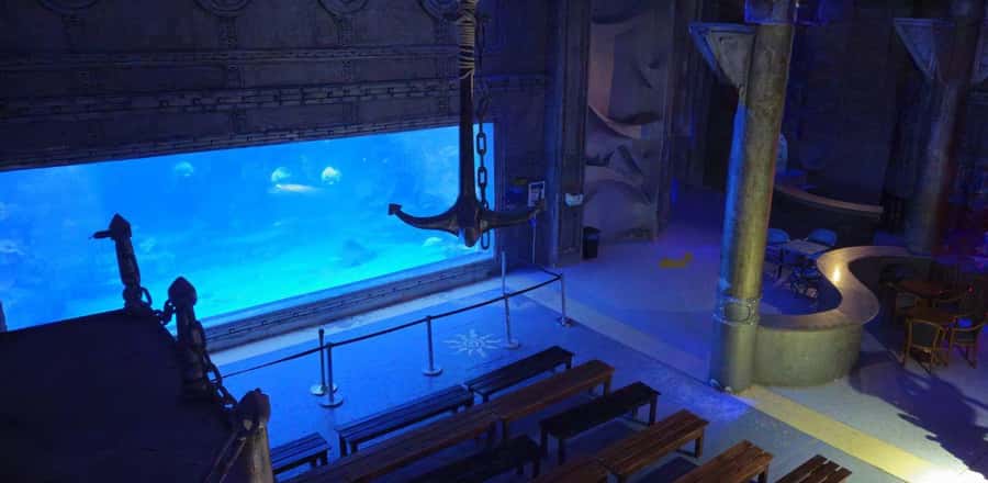Entry Ticket: Grand Aquarium Hurgada - Walking Through the 24-Meter Underwater Tunnel