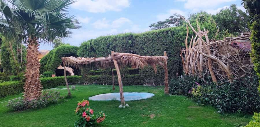Entry Ticket: Grand Aquarium Hurgada - Feeding Turtles, Pelicans, and Tortoises