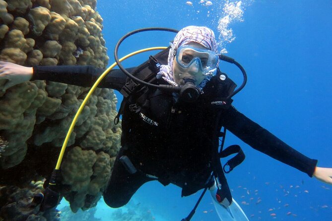 Excursion to Tiran Island by boat - The Possible Wreck Stop