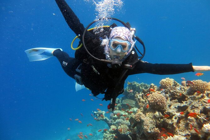 Excursion to Tiran Island by boat - Is $31.40 Good Value?