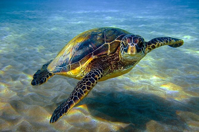 Explore Hurghada: Semi-Submarine Tour & Snorkeling – Hurghada - Group size and comfort on board
