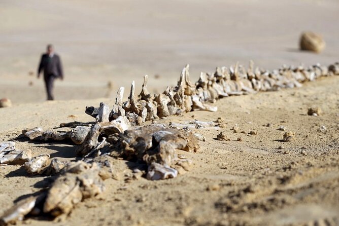Fayoum 4x4 Safari Adventure, Sandboarding, Lunch, Felucca - A felucca ride after the desert drive