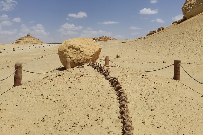 Fayoum Oasis Adventure 4WD Desert Safari with Traditional Lunch - Bedouin Tea and the Camp Lunch