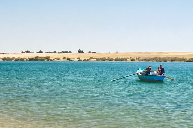 Fayoum Oasis Tour Hidden Gem Wadi El Rayan & Valley of the Whales - Lunch in the desert