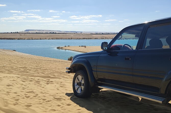 Fayoum Oasis Tour Hidden Gem Wadi El Rayan & Valley of the Whales - What the $130 price includes