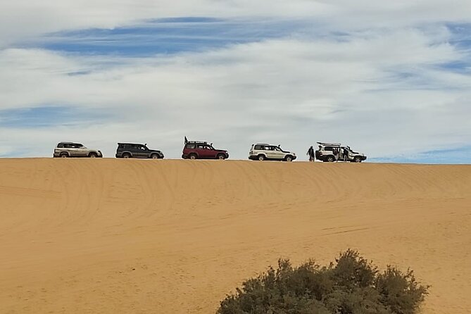 Fayoum Oasis Tour Hidden Gem Wadi El Rayan & Valley of the Whales - Timing, comfort, and practical concerns