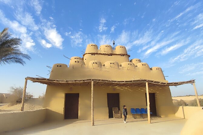 Fayoum Oasis Tour Hidden Gem Wadi El Rayan & Valley of the Whales - Walking among ancient whale fossils