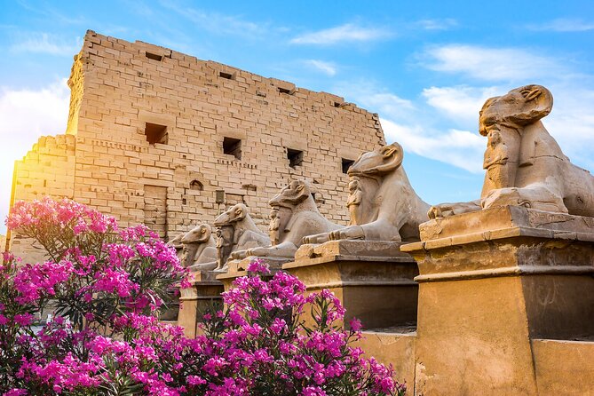 First impression of Luxor-Explore secrets of Luxor by horse carriage - The guide can make or break the morning