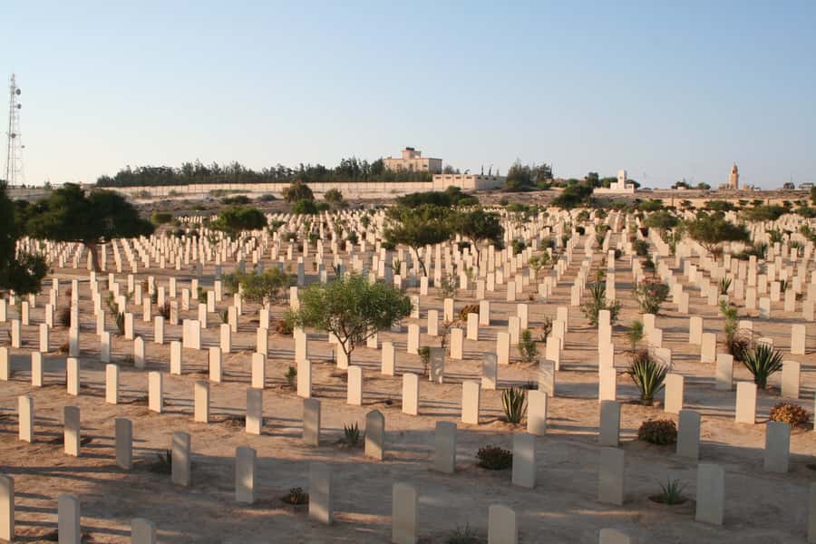 From Alexandria: El Alamein Day Trip - How the six-hour schedule feels