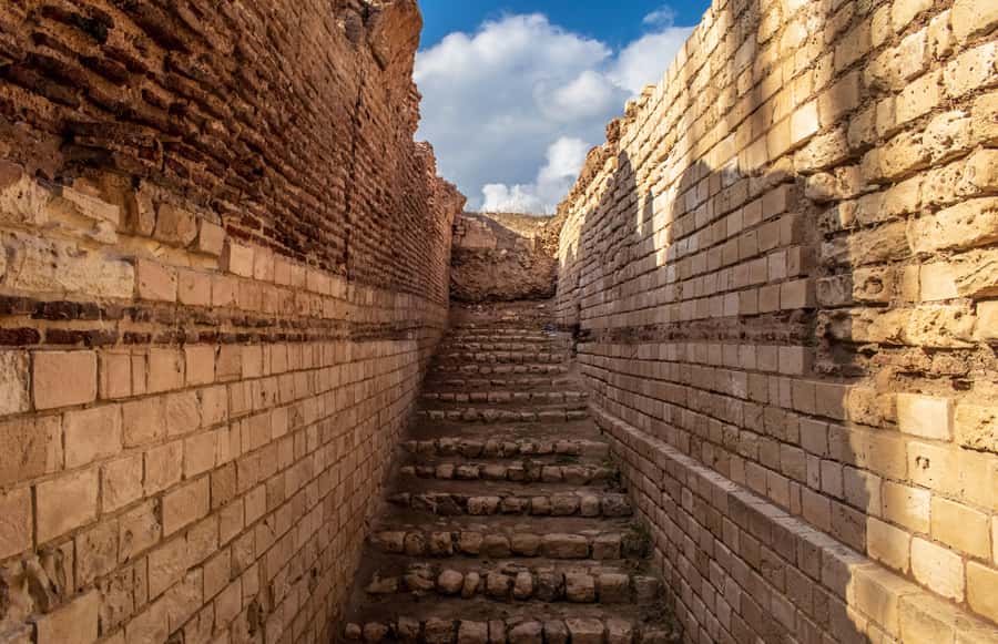 From Alexandria: Highlights of Alexandria Full City Tour - Five details worth knowing before you book