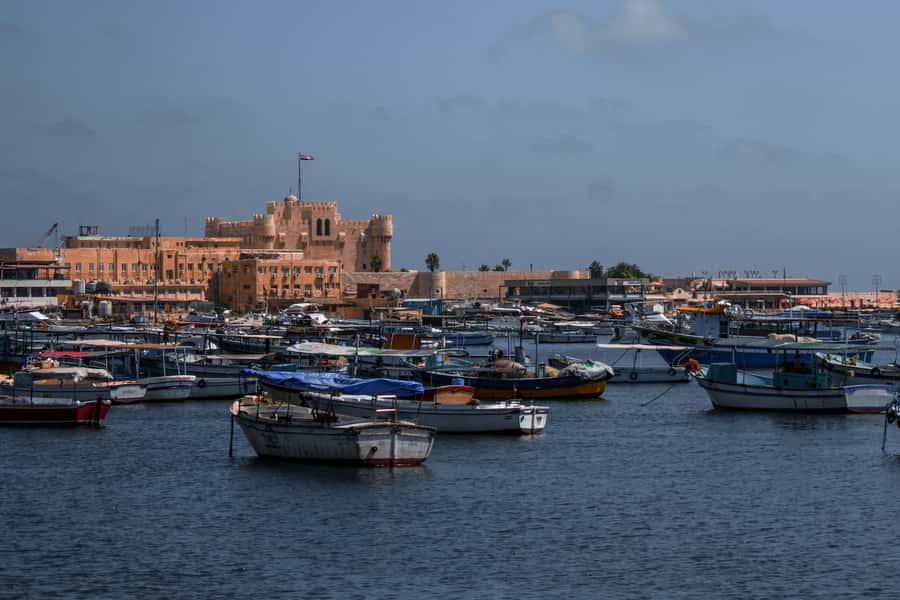 From Alexandria: Highlights of Alexandria Full City Tour - Why this tour gives you a useful first look at Alexandria