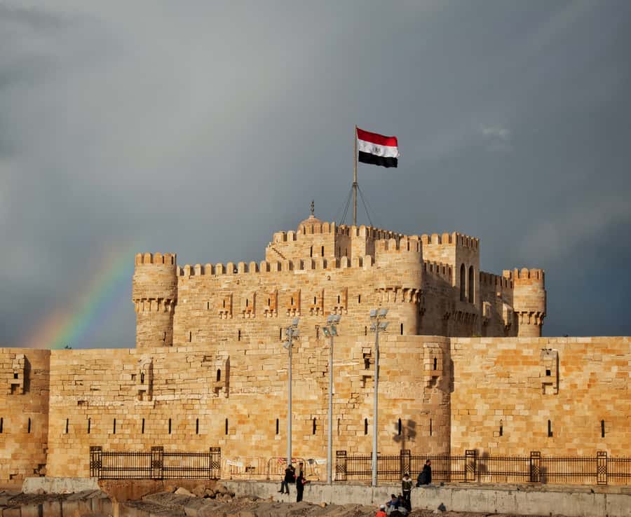 From Alexandria: Highlights of Alexandria Full City Tour - Qaitbay Fort and the eastern harbor view