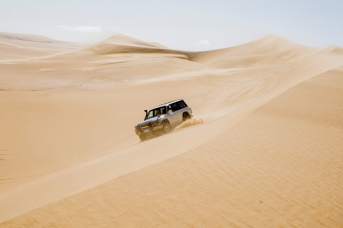From Cairo 4x4 Safari, Camel Ride, Magic Lake, Waterfalls & Lunch - Key Things to Know Before You Go