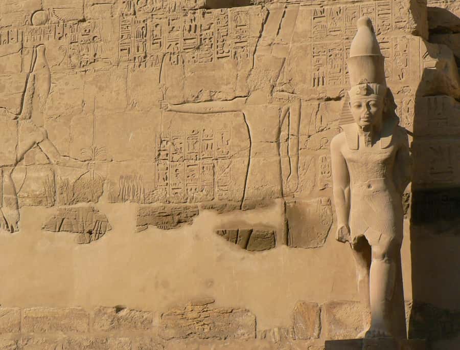 From Cairo: 5-Day Tour with Nile Cruise, Balloon, & Flights - FAQ
