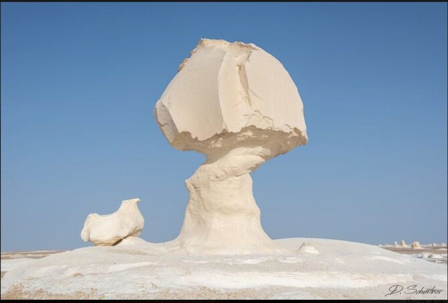 From Cairo: Bahariya Oasis and Black and White Desert Tour - Key Points Before You Book