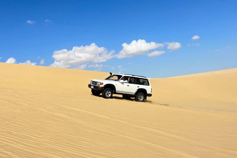 From Cairo: Desert Safari, Camel Ride, Magic Lake, & Lunch - Key details at a glance